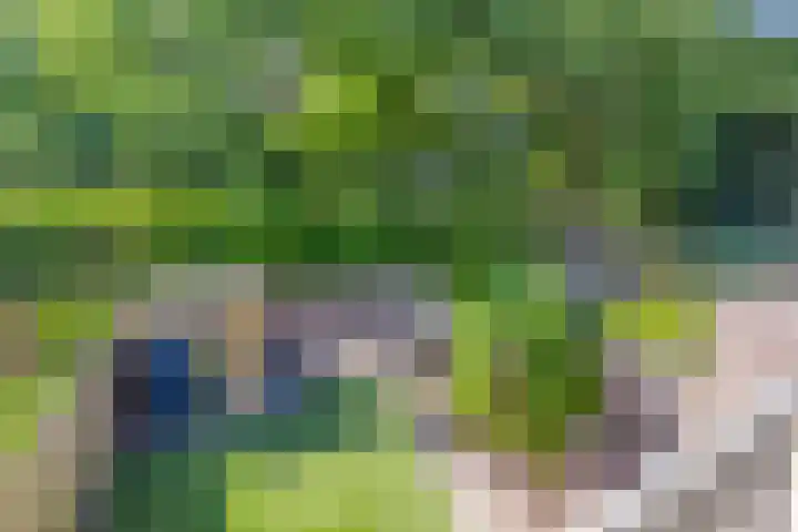 Dordognelaan 122 Eindhoven thumbnail 27