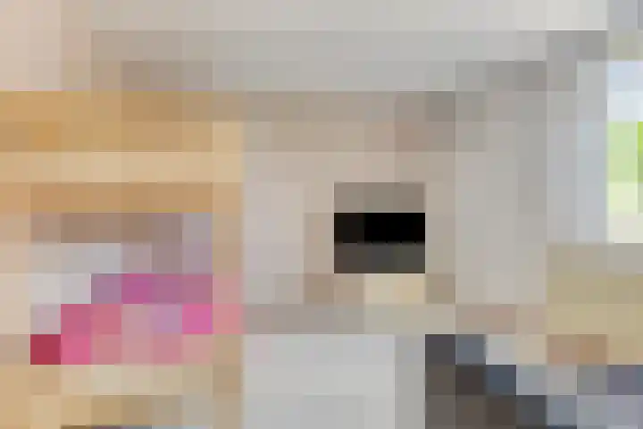 Dordognelaan 122 Eindhoven thumbnail 28