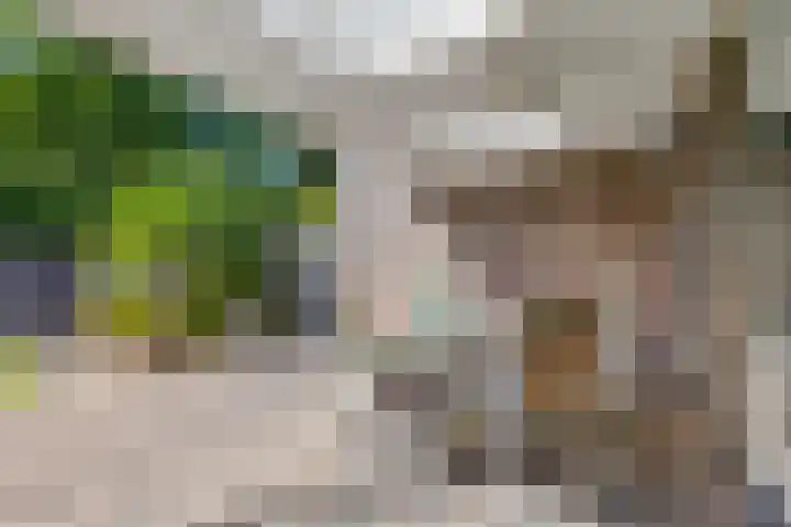 Dordognelaan 122 Eindhoven thumbnail 34