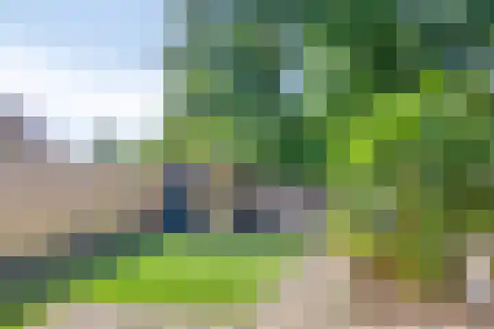 Dordognelaan 122 Eindhoven thumbnail 36