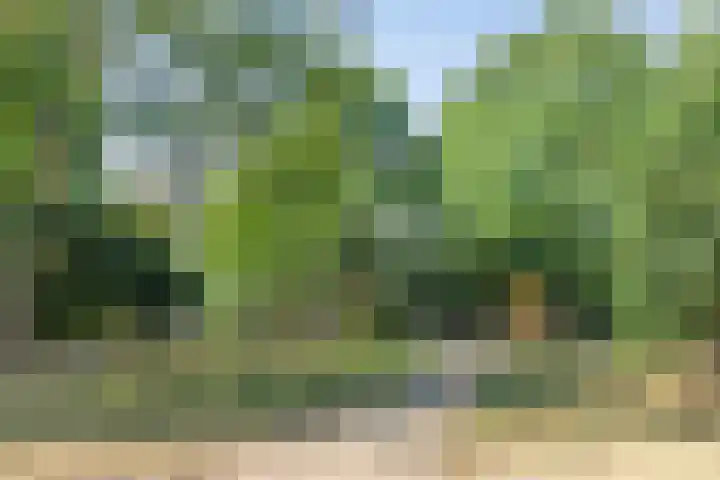 Dordognelaan 122 Eindhoven thumbnail 40