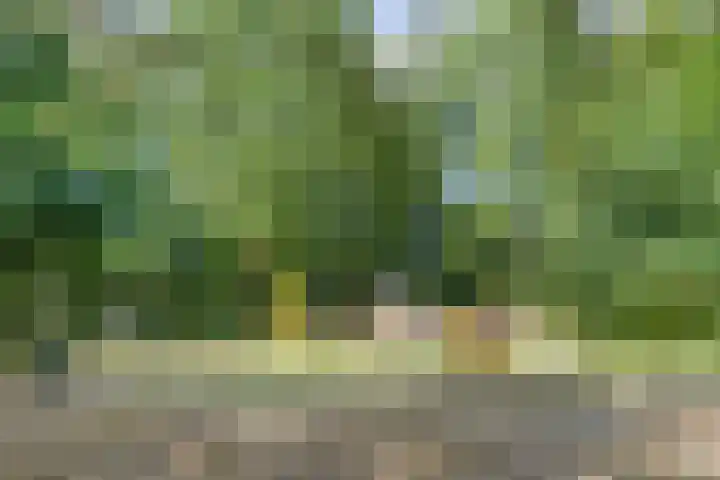 Dordognelaan 122 Eindhoven thumbnail 41