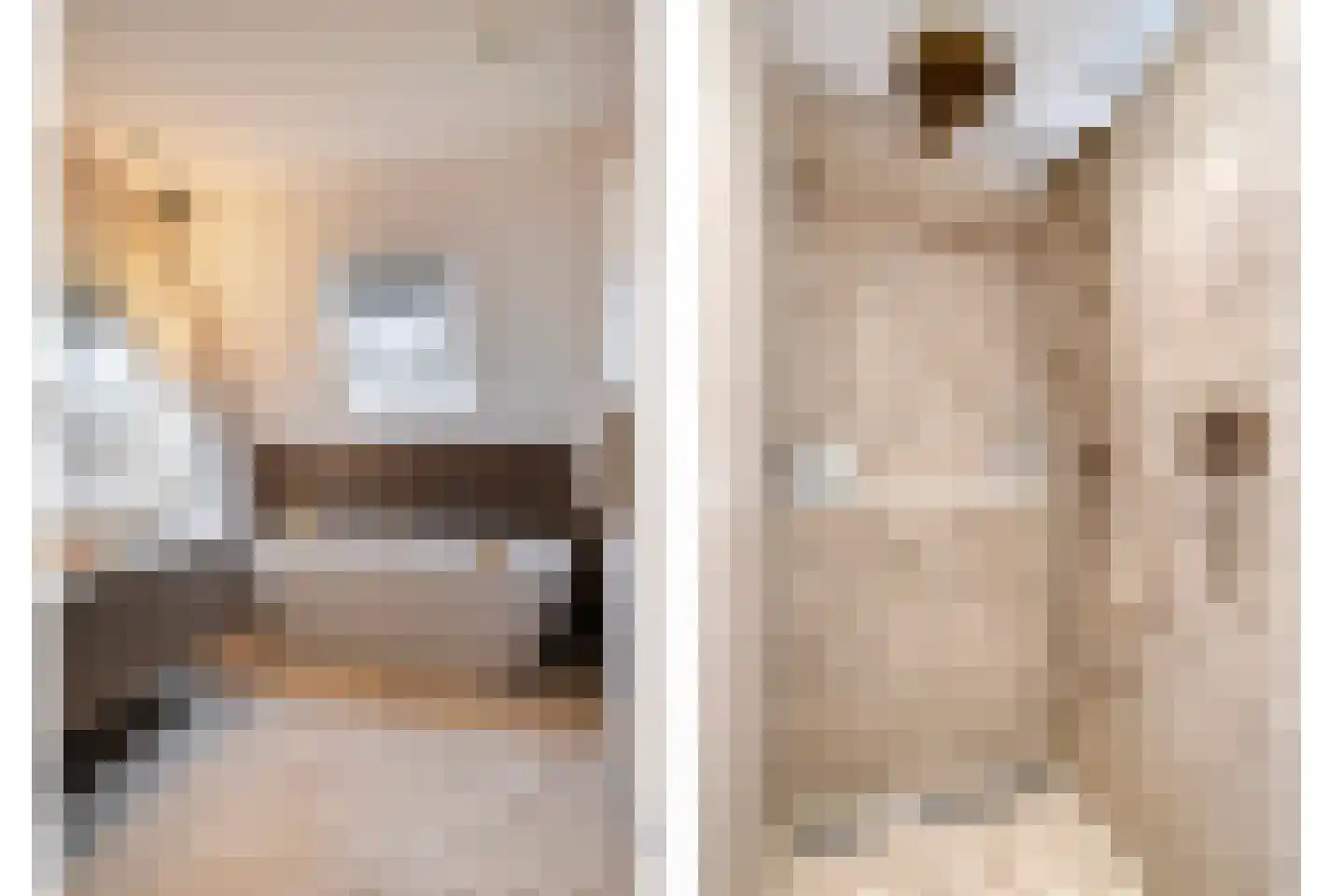 Dordognelaan 128 Eindhoven thumbnail 35