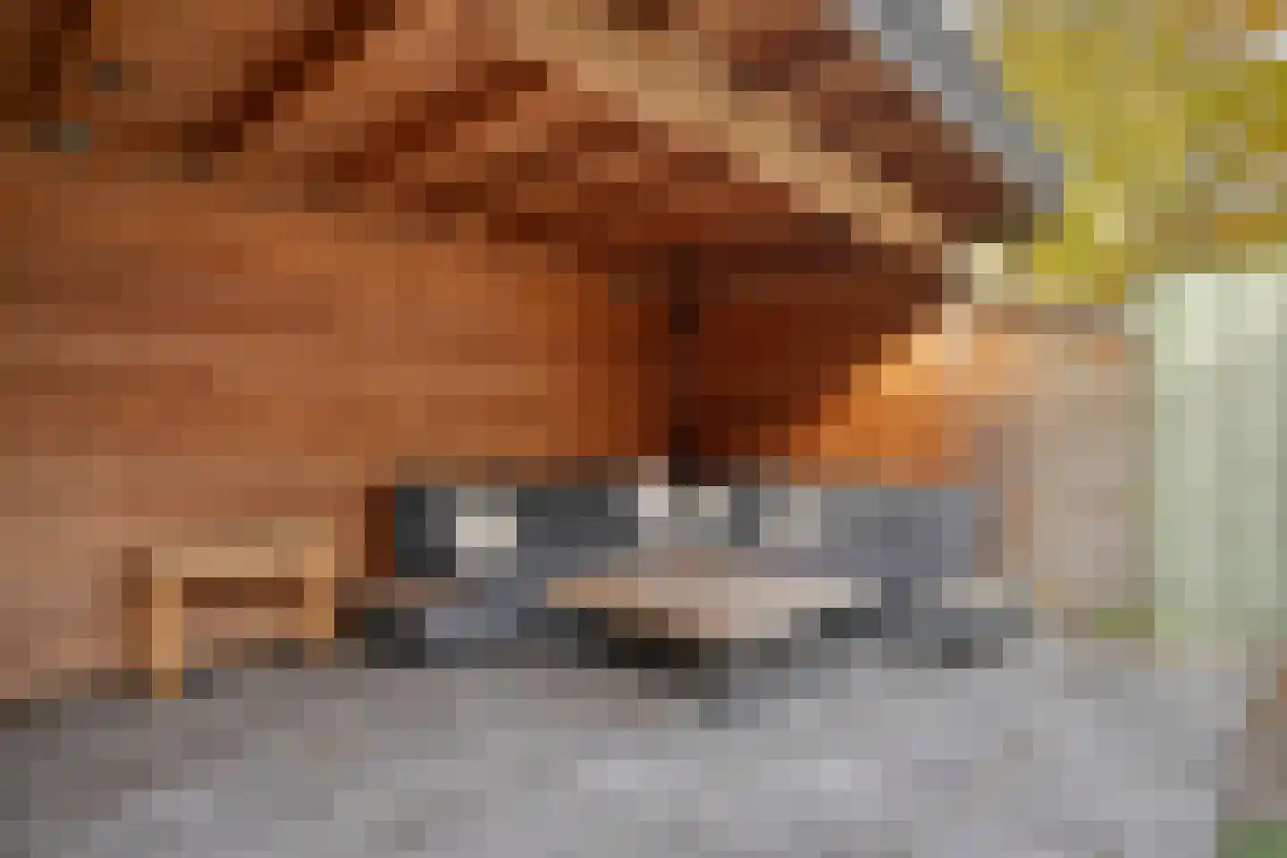 Dordognelaan 128 Eindhoven thumbnail 50
