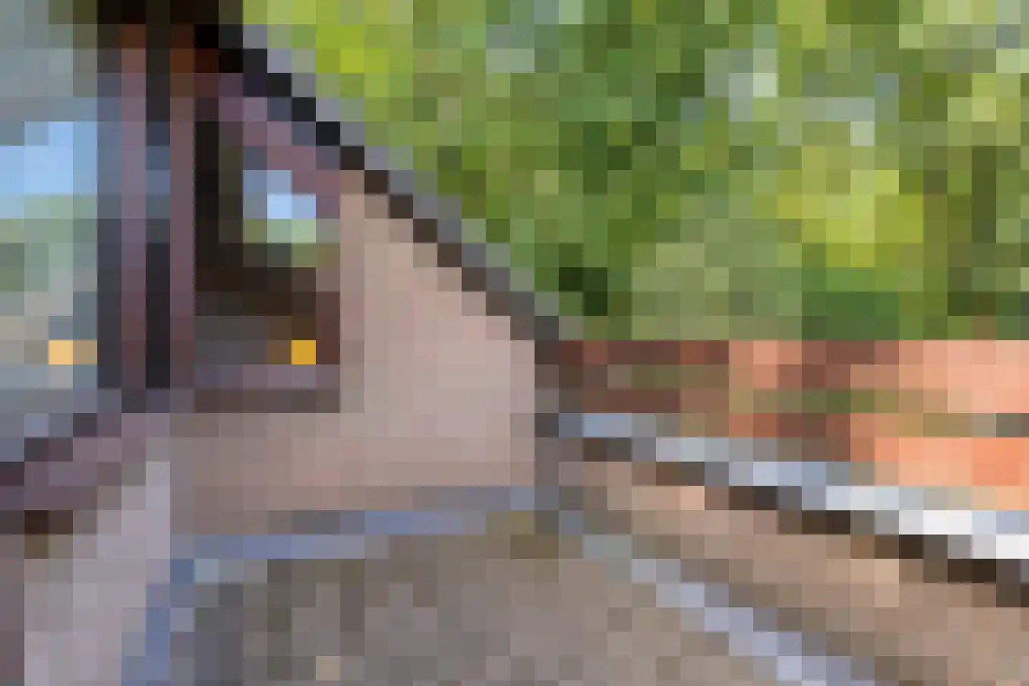 Dordognelaan 18 Eindhoven thumbnail 31