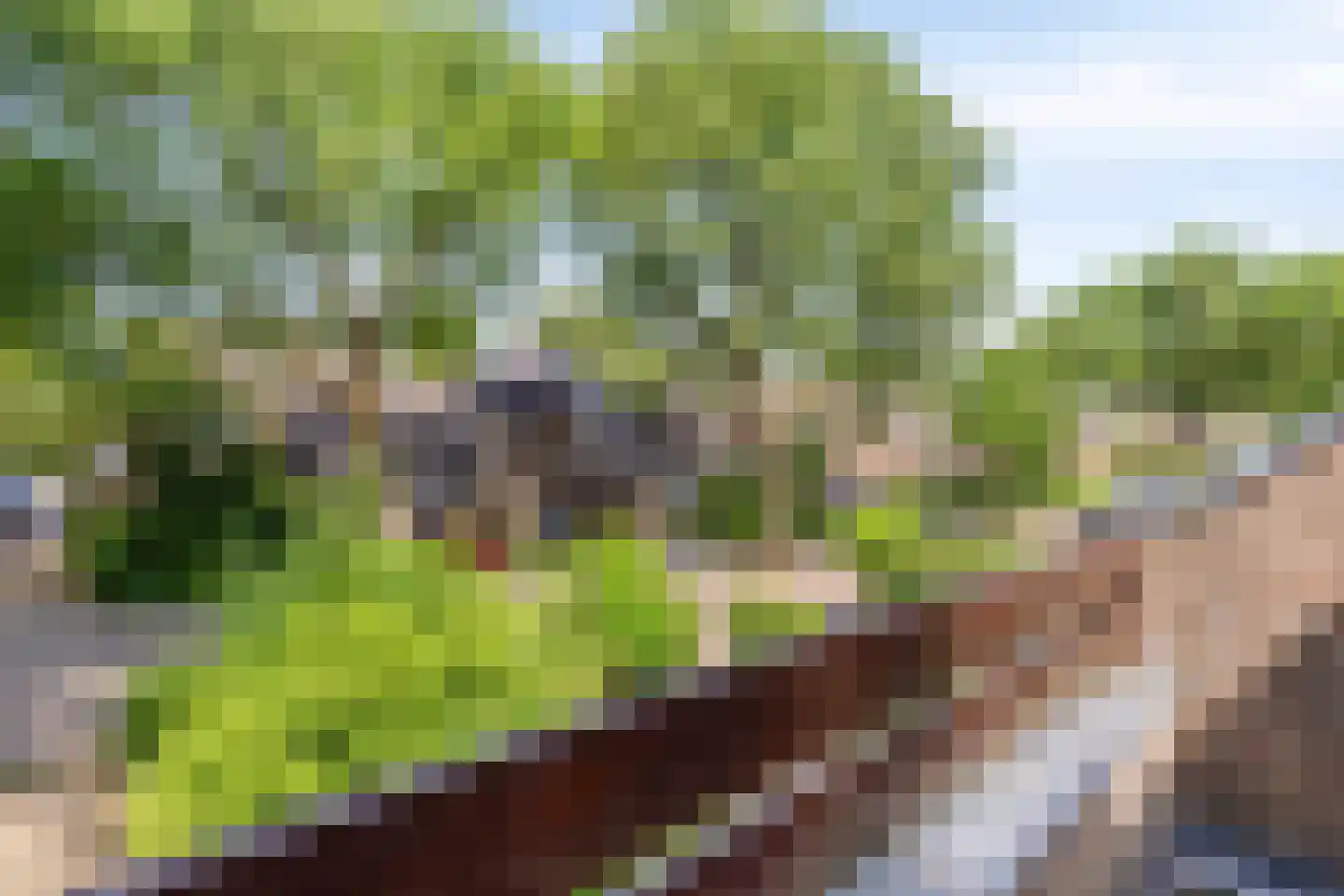 Dordognelaan 18 Eindhoven thumbnail 32