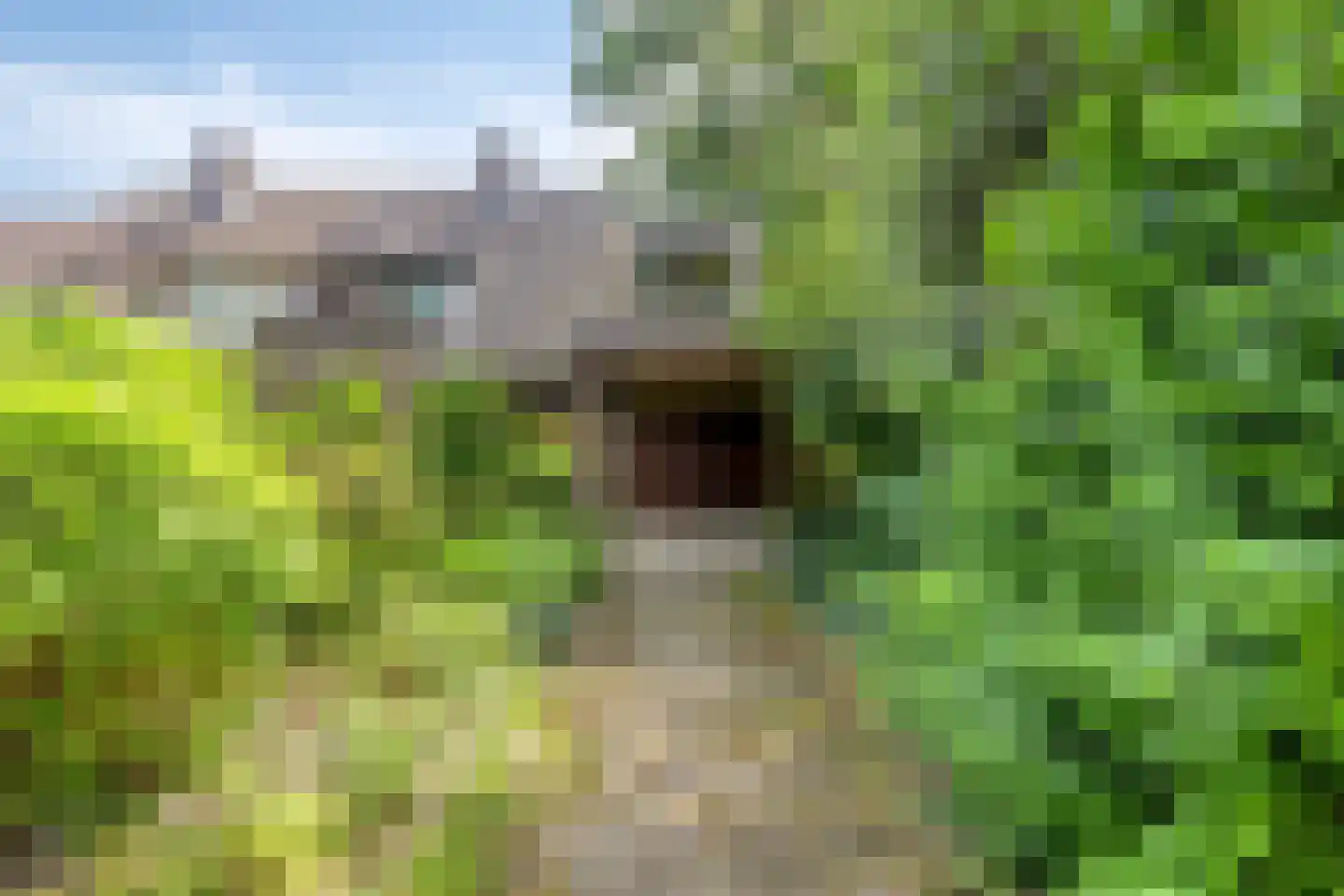 Dordognelaan 18 Eindhoven thumbnail 41