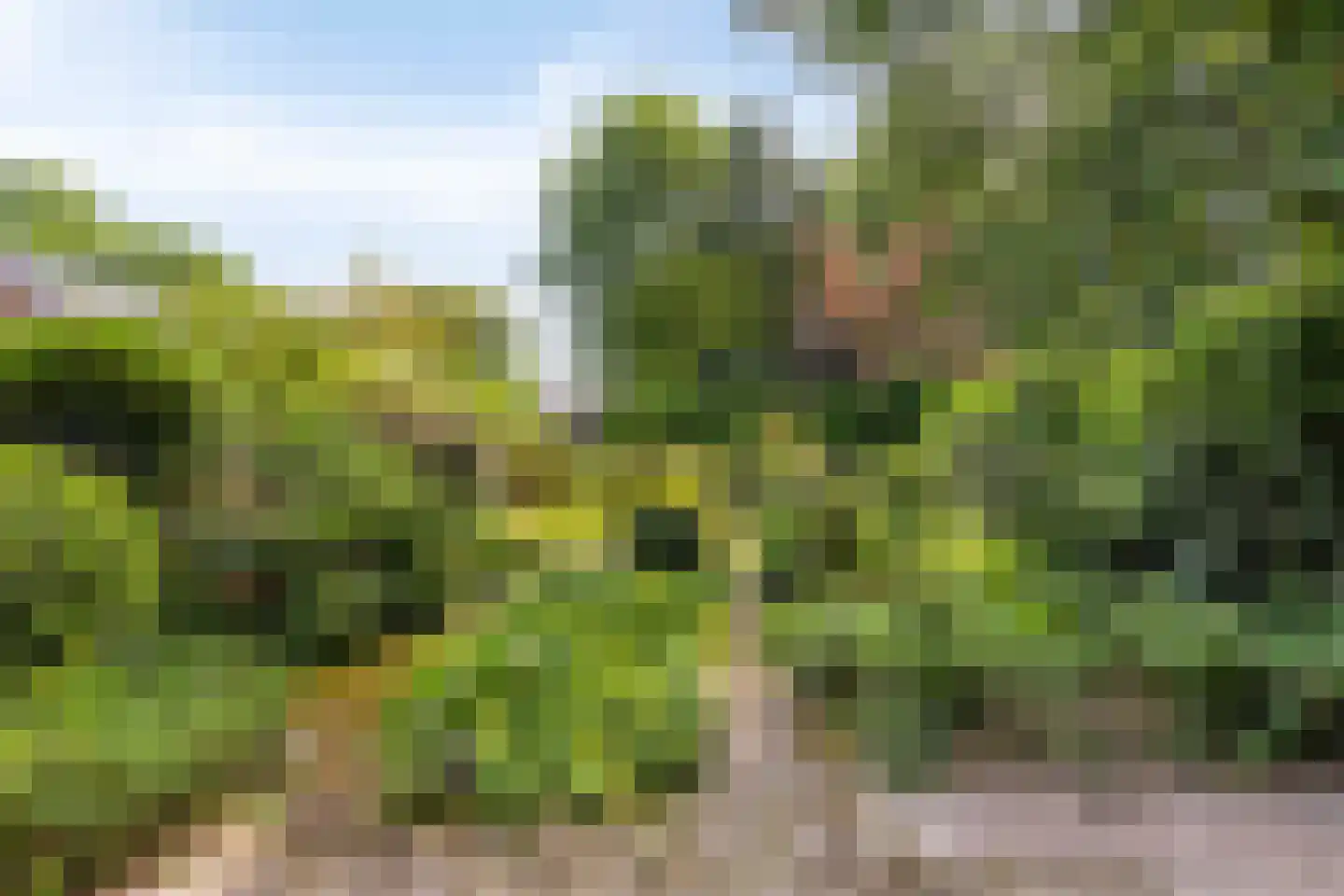 Dordognelaan 18 Eindhoven thumbnail 45