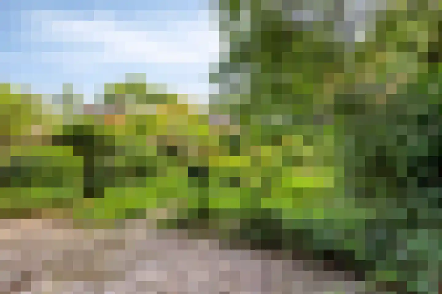 Dordognelaan 18 Eindhoven thumbnail 46