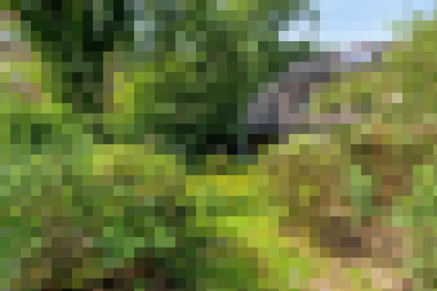 Dordognelaan 18 Eindhoven thumbnail 47
