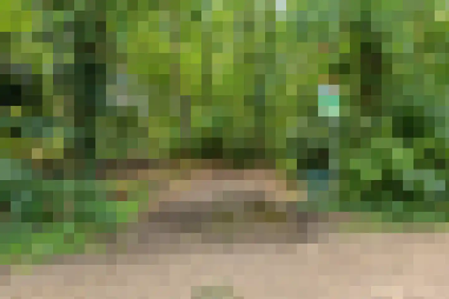 Dordognelaan 18 Eindhoven thumbnail 49