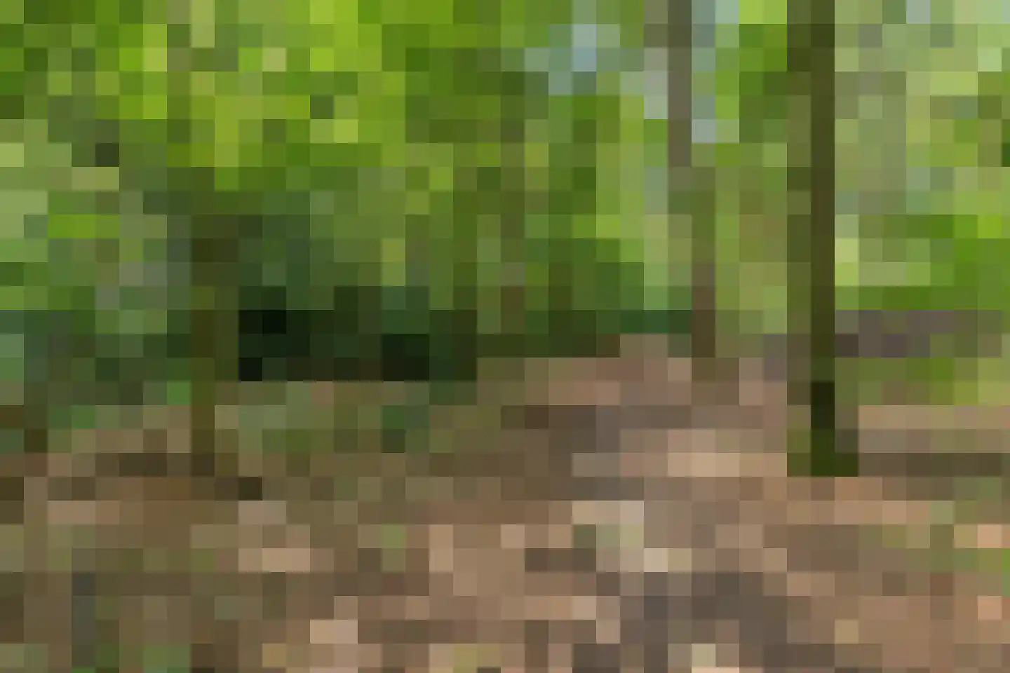 Dordognelaan 18 Eindhoven thumbnail 50
