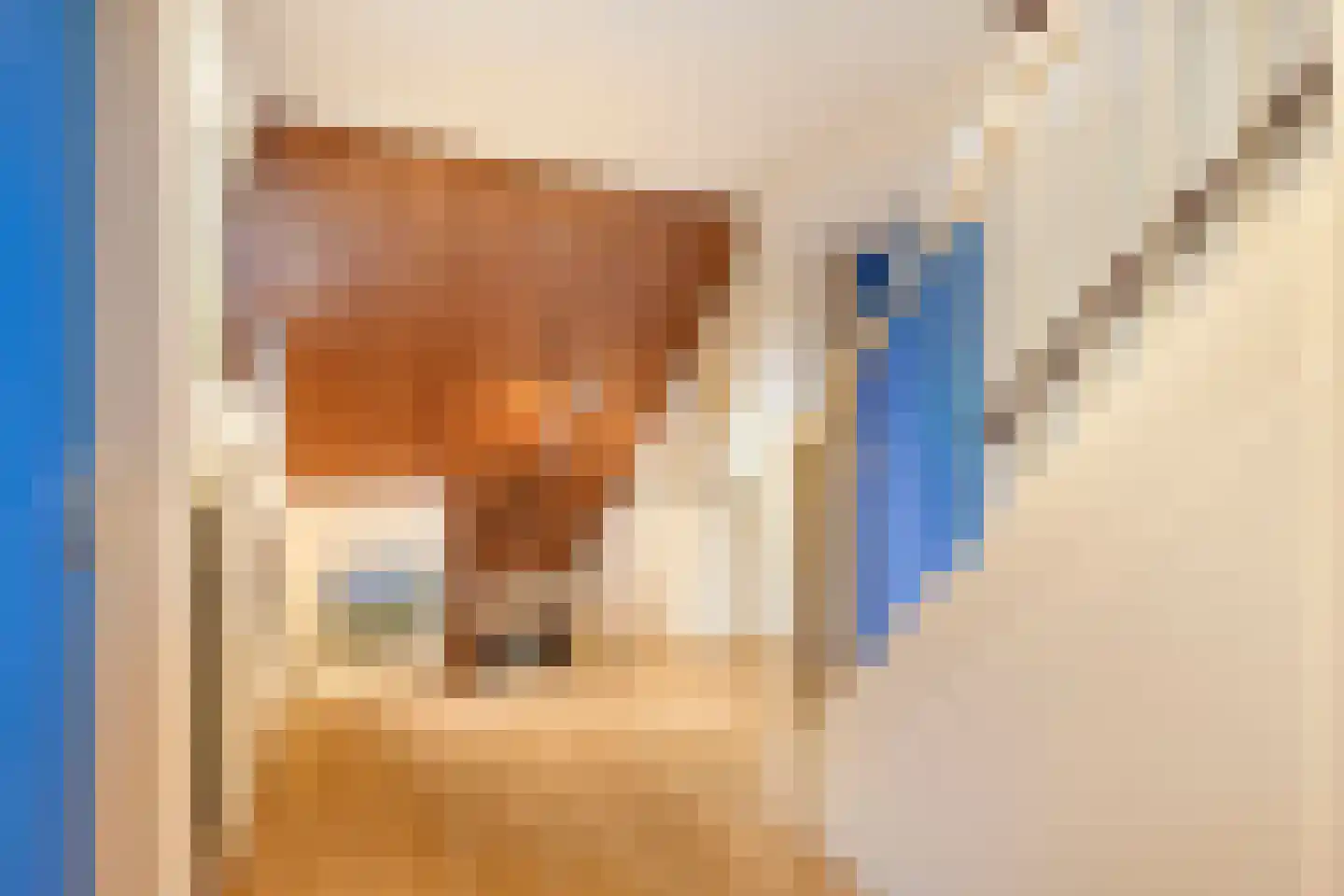 Dordognelaan 29 Eindhoven thumbnail 24