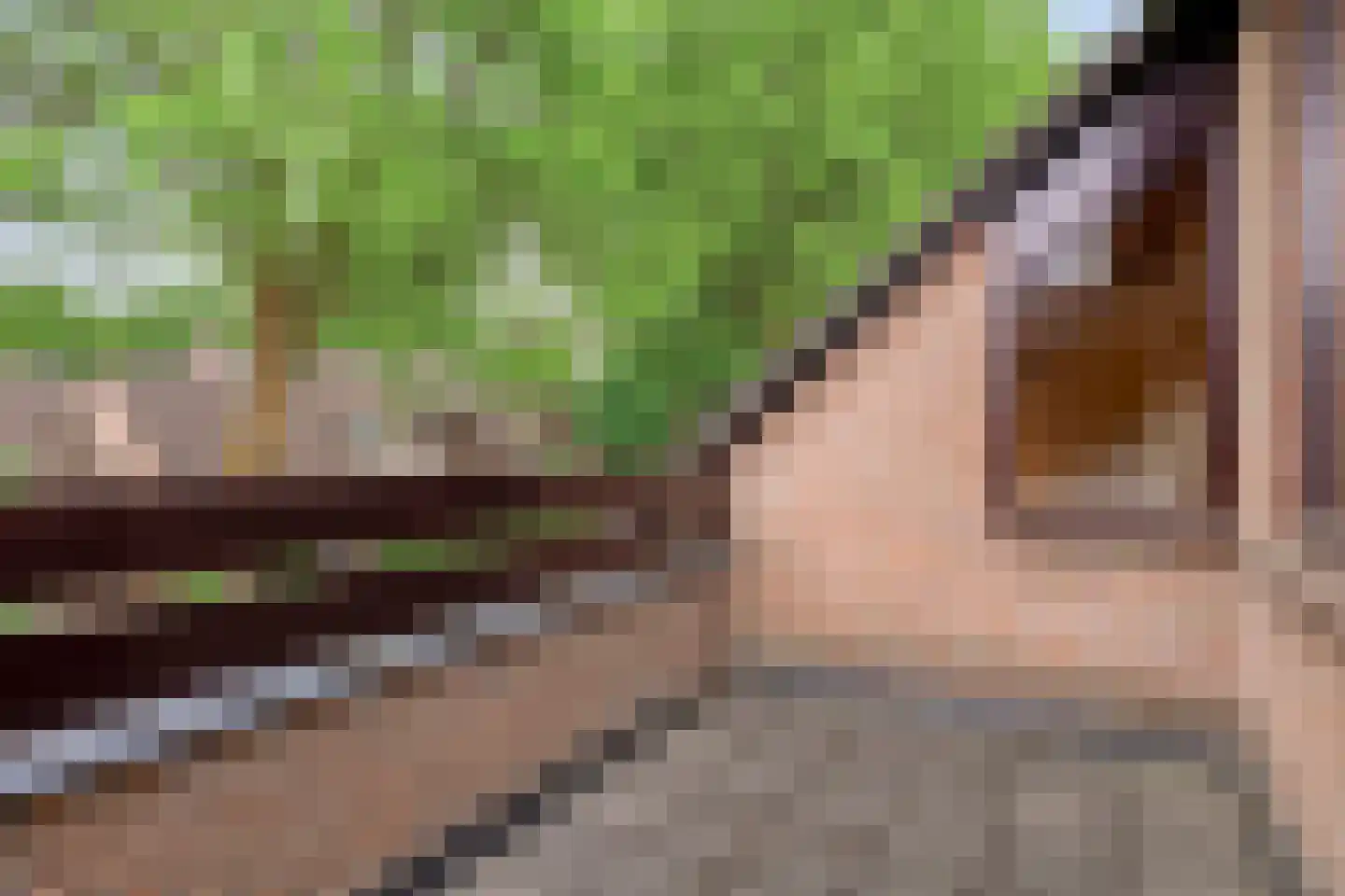 Dordognelaan 29 Eindhoven thumbnail 34