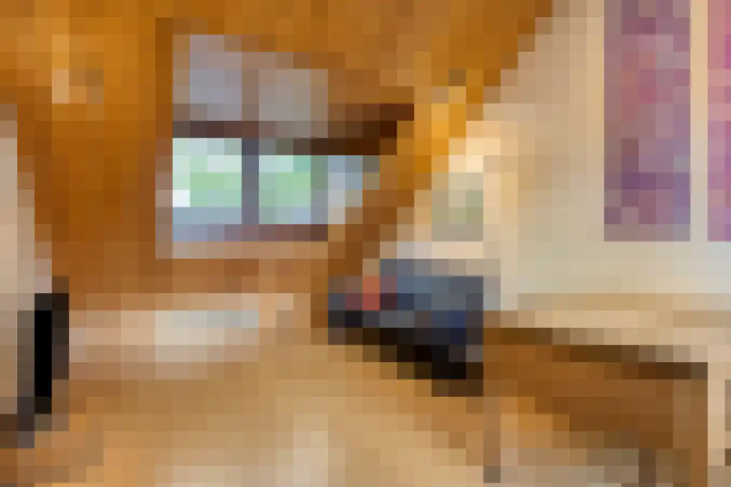 Dordognelaan 29 Eindhoven thumbnail 37