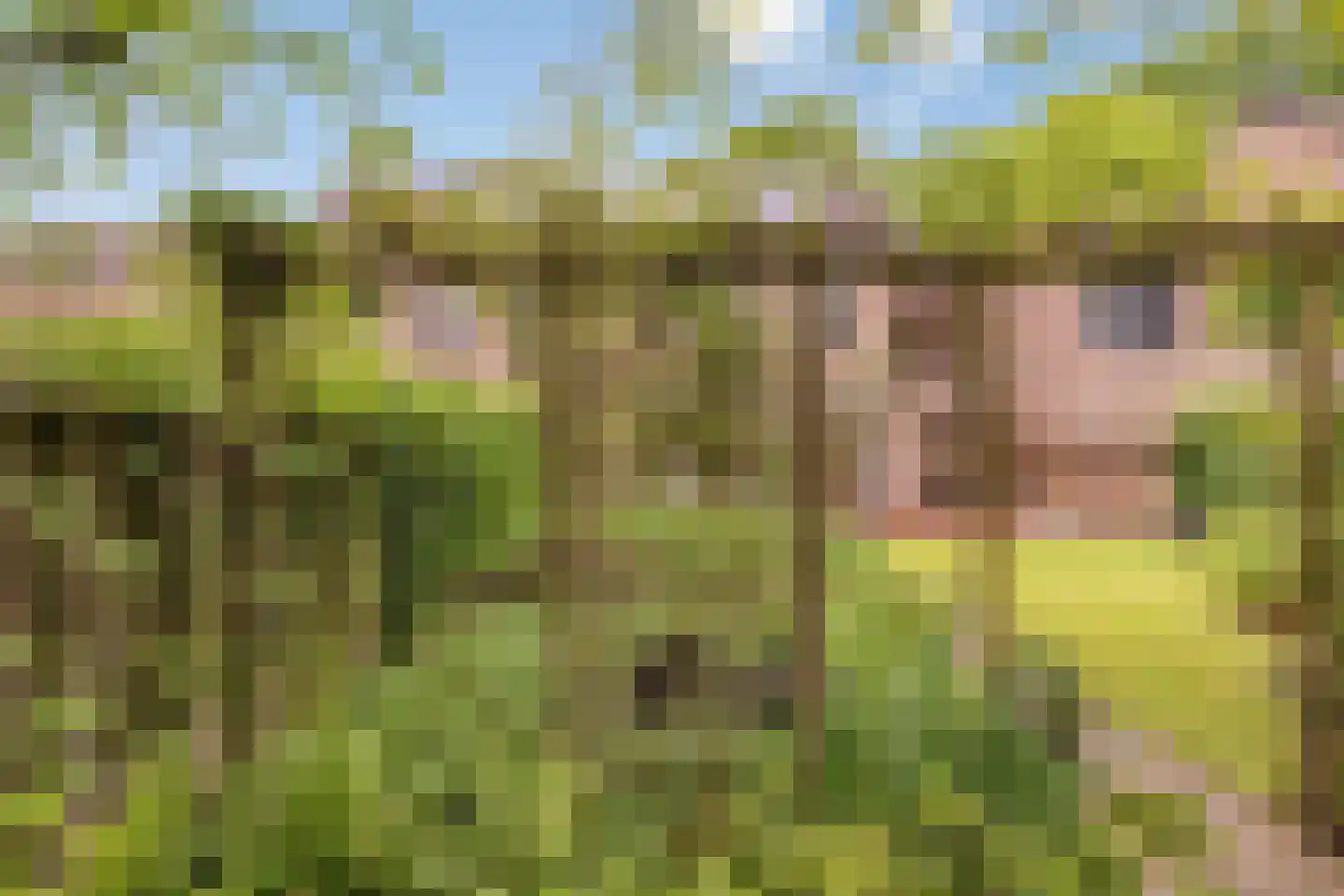 Dordognelaan 29 Eindhoven thumbnail 49