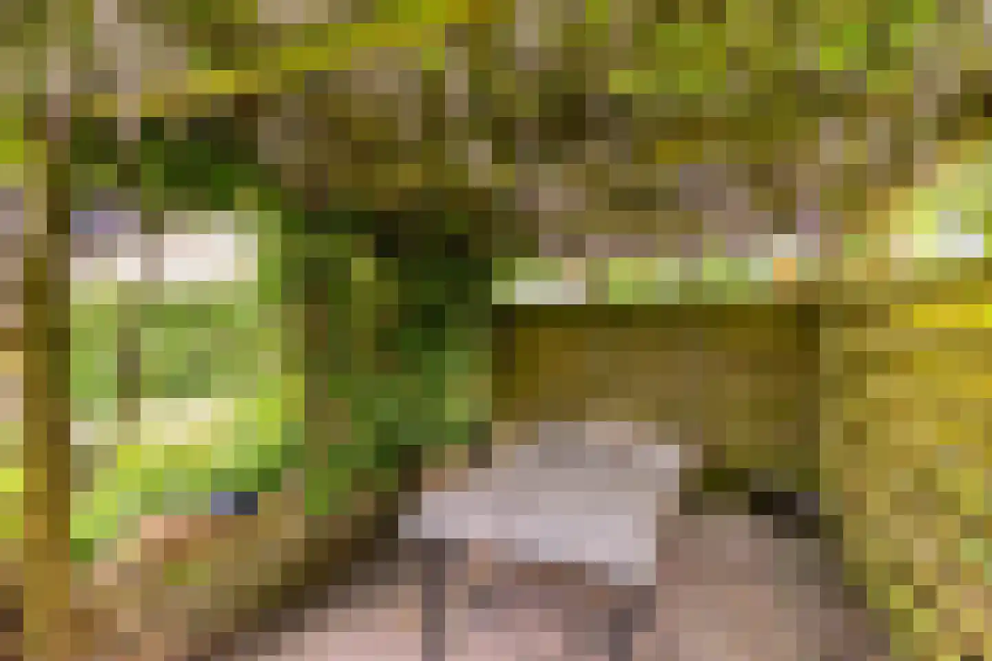 Dordognelaan 29 Eindhoven thumbnail 50