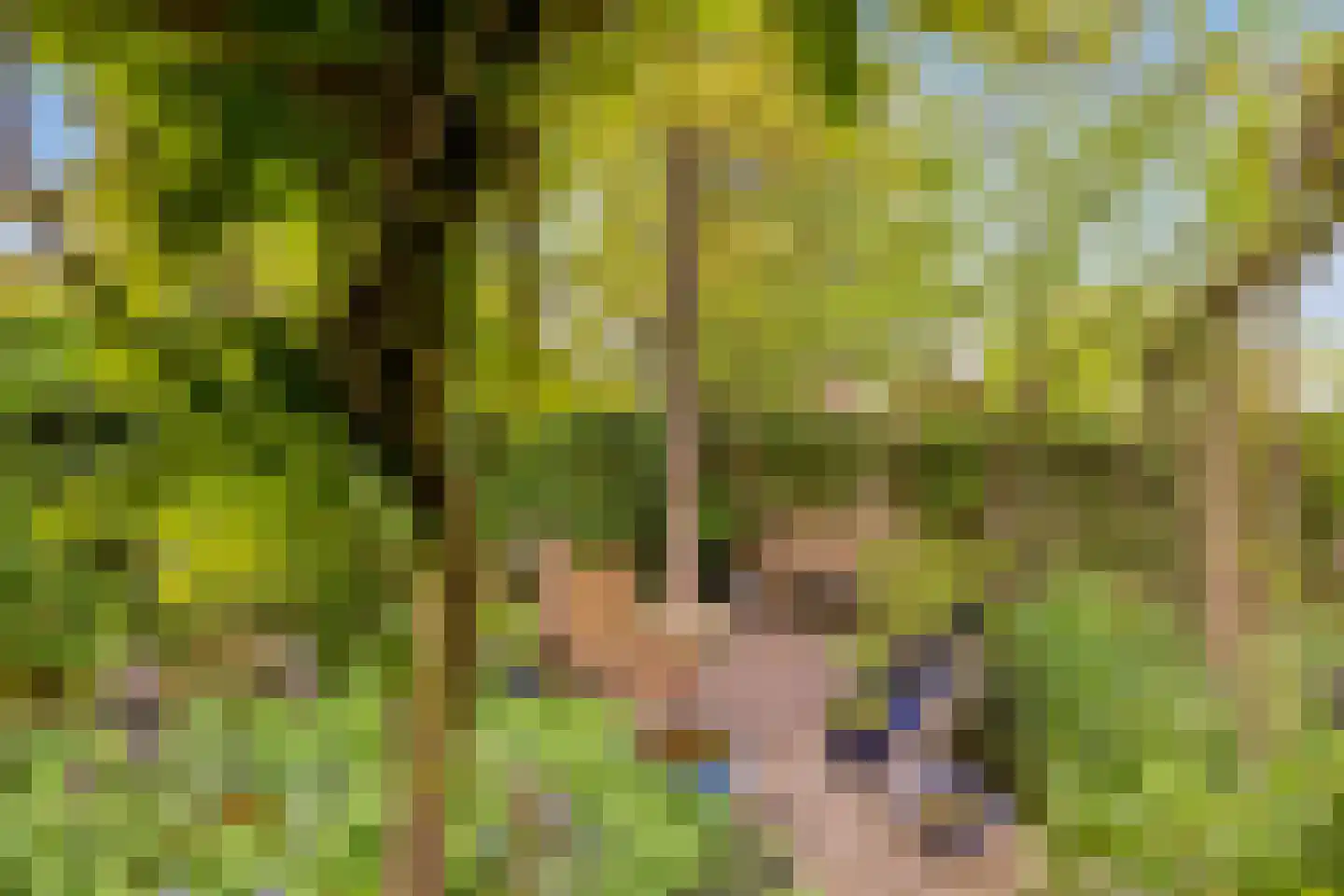 Dordognelaan 29 Eindhoven thumbnail 51