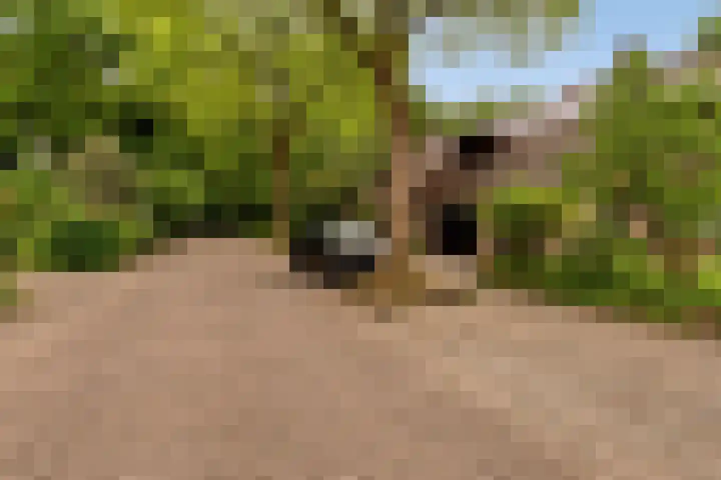 Dordognelaan 29 Eindhoven thumbnail 56
