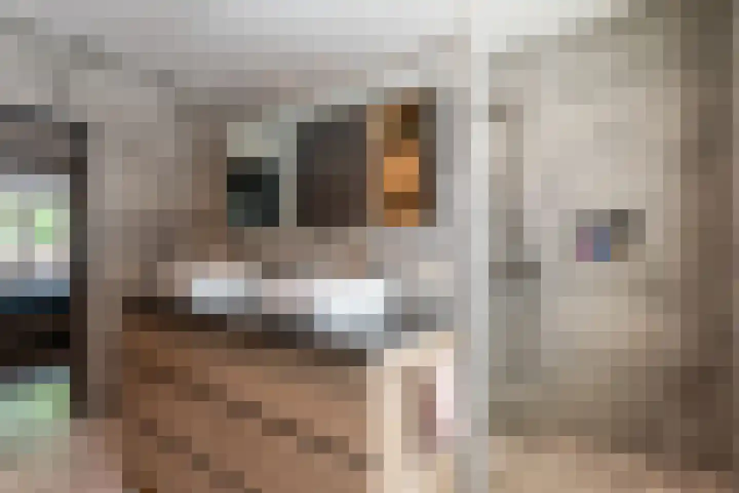 Dordognelaan 34 Eindhoven thumbnail 34