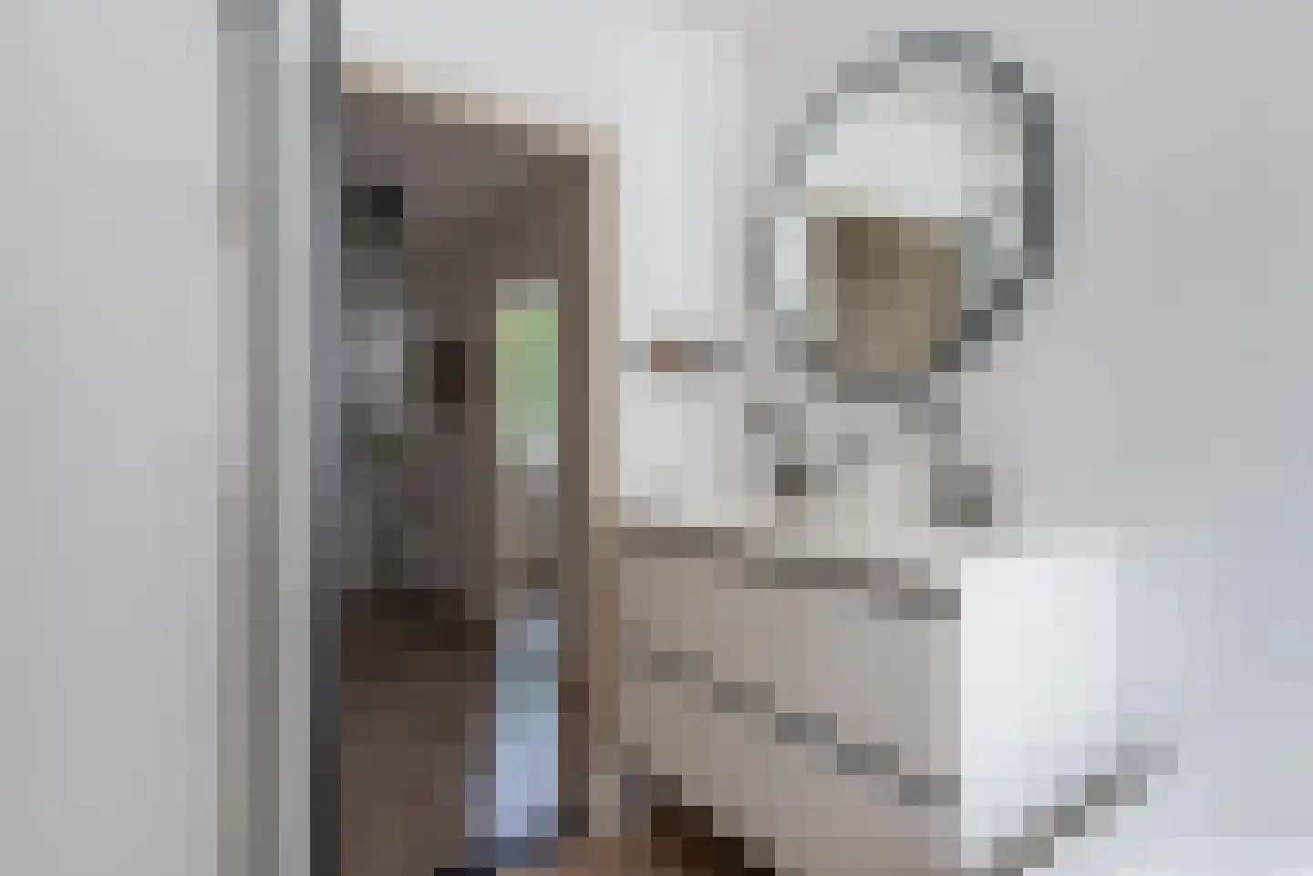 Dordognelaan 34 Eindhoven thumbnail 38