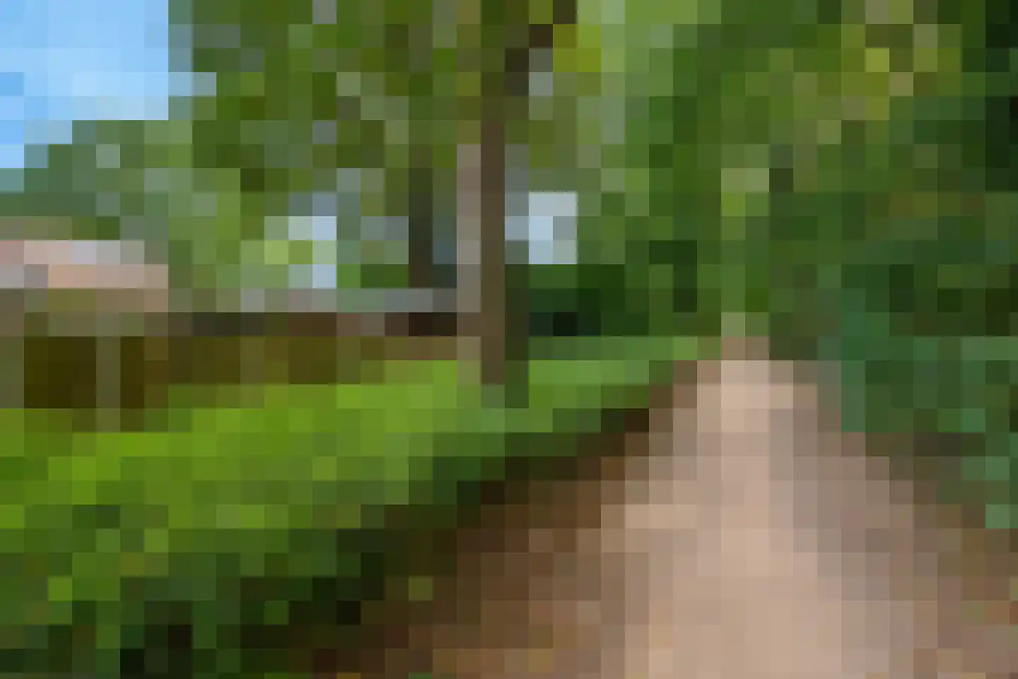 Dordognelaan 34 Eindhoven thumbnail 72