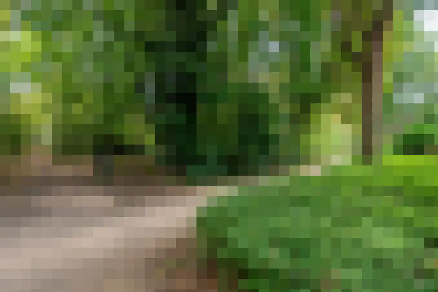Dordognelaan 34 Eindhoven thumbnail 73
