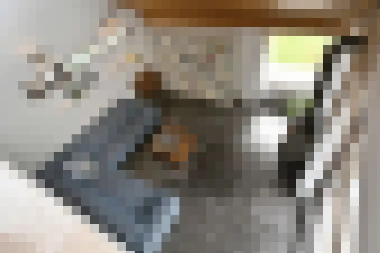 Dordognelaan 40 Eindhoven thumbnail 22