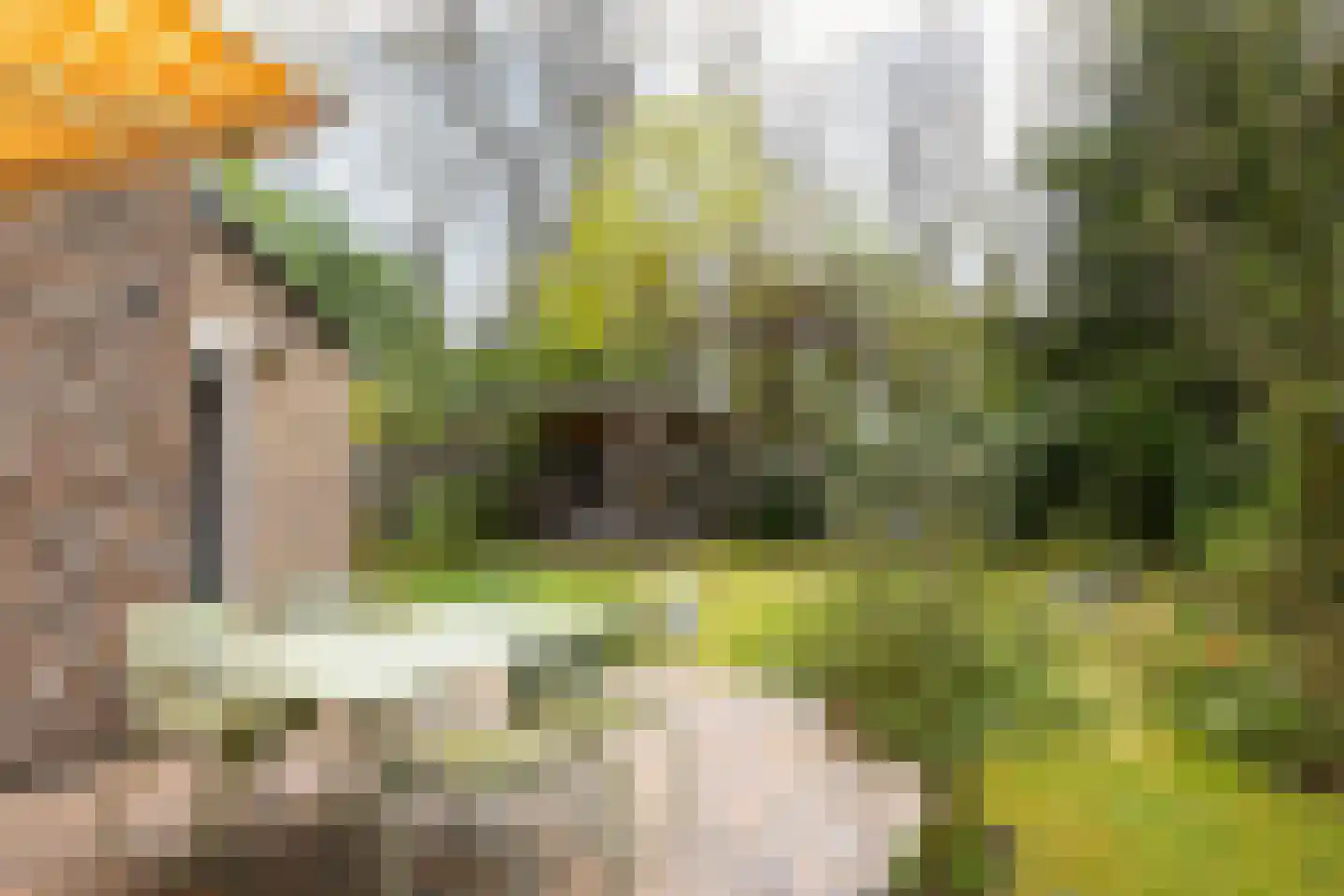 Dordognelaan 40 Eindhoven thumbnail 34