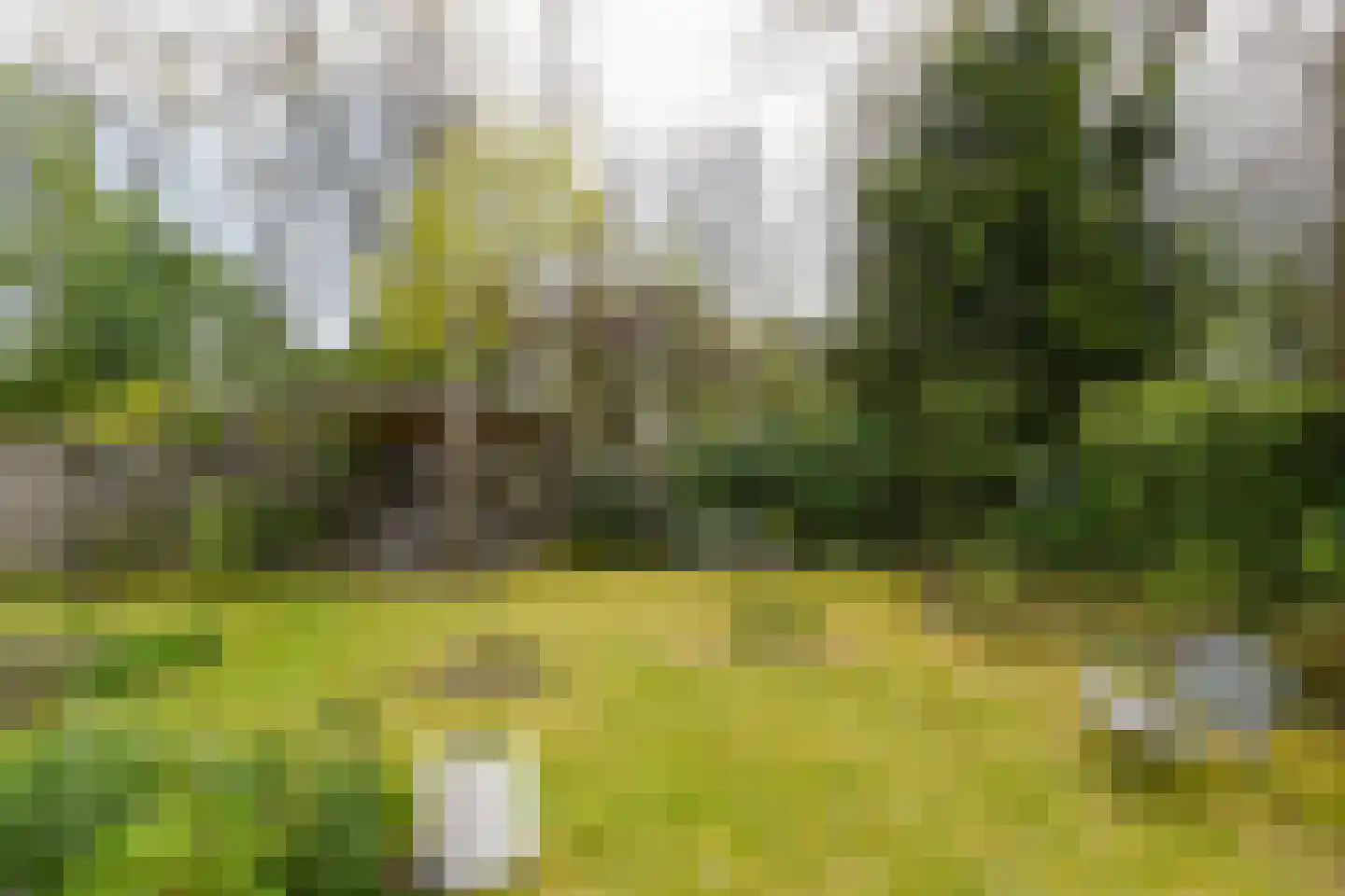 Dordognelaan 40 Eindhoven thumbnail 37