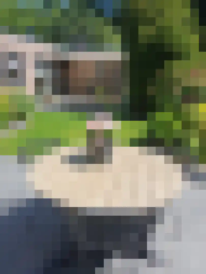 Dordognelaan 68 Eindhoven thumbnail 28