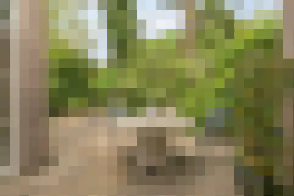 Dordognelaan 70 Eindhoven thumbnail 34