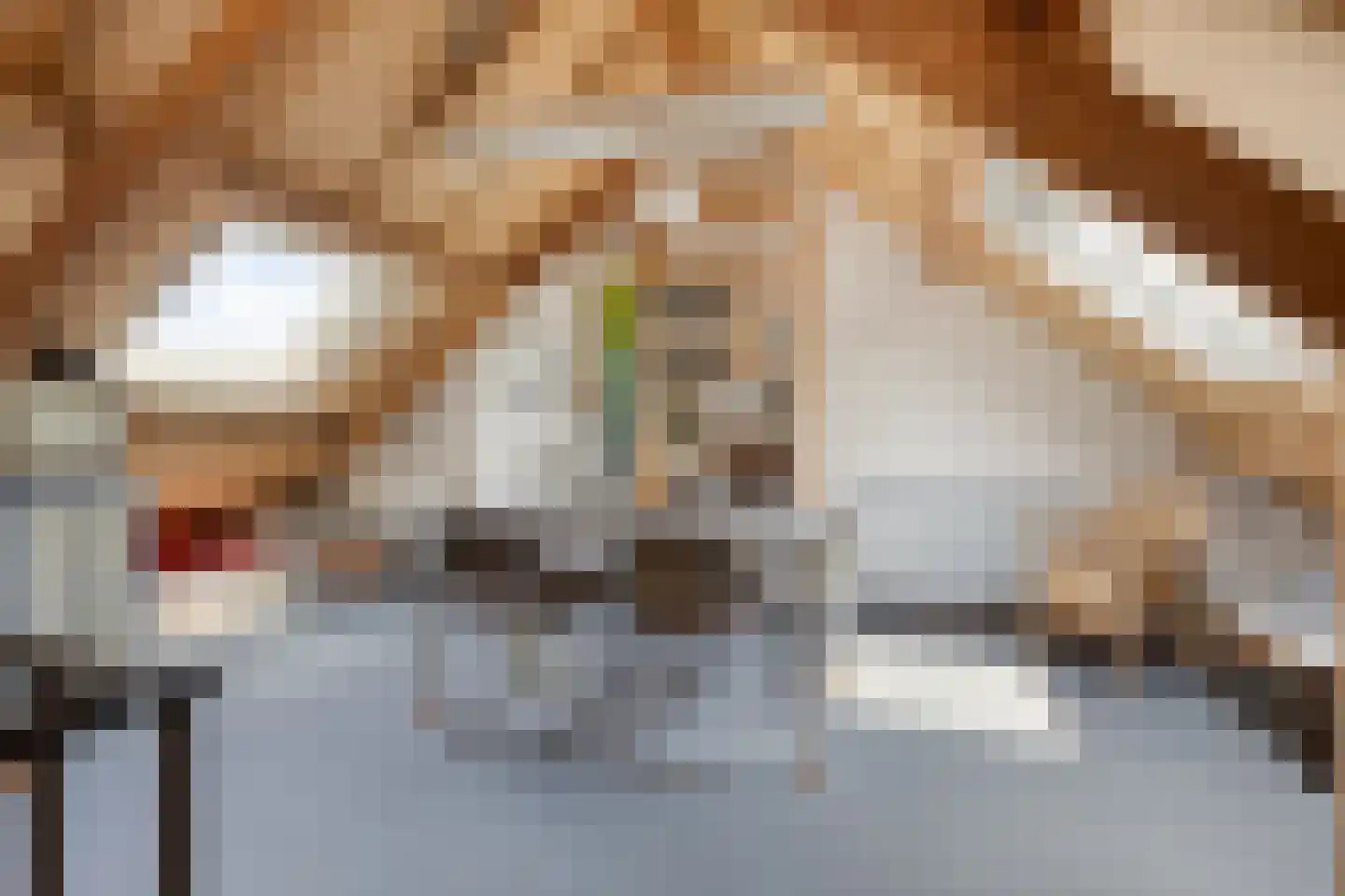 Dordognelaan 85 Eindhoven thumbnail 28