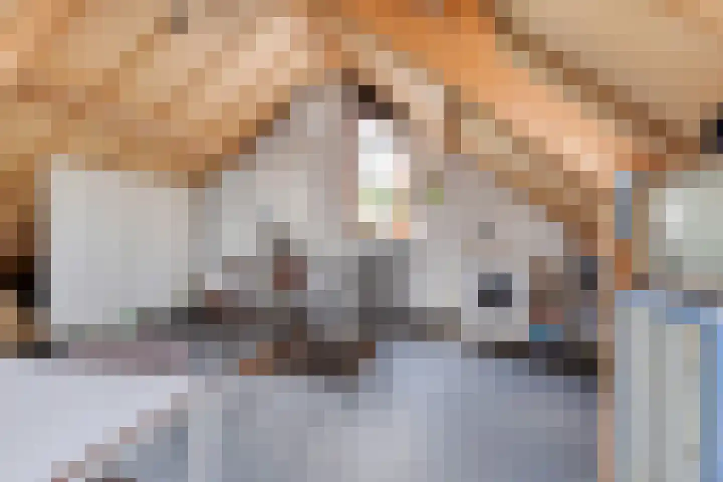 Dordognelaan 85 Eindhoven thumbnail 29