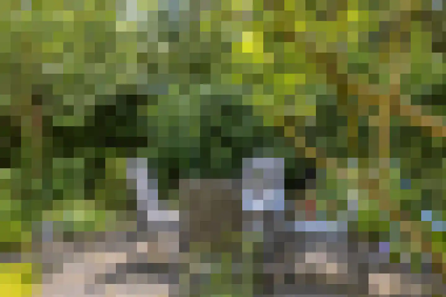 Dordognelaan 85 Eindhoven thumbnail 31