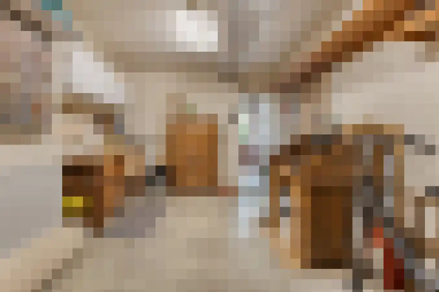 Dordognelaan 85 Eindhoven thumbnail 35