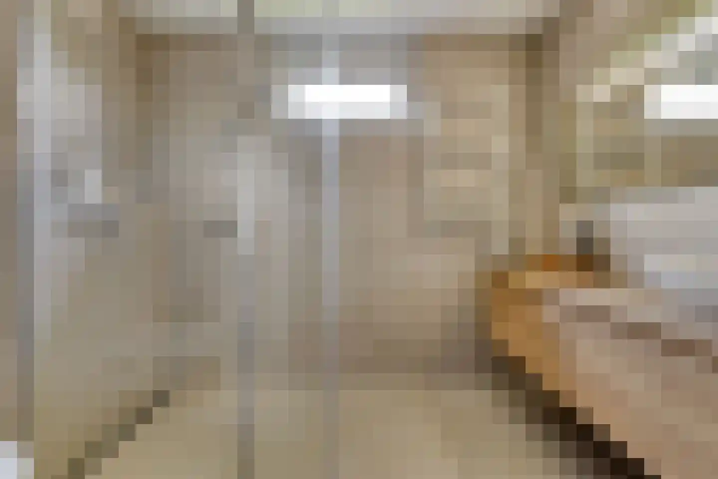 Dordognelaan 85 Eindhoven thumbnail 5