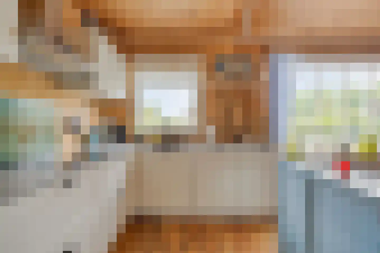 Dordrechtseweg 16 A Den Hout thumbnail 16