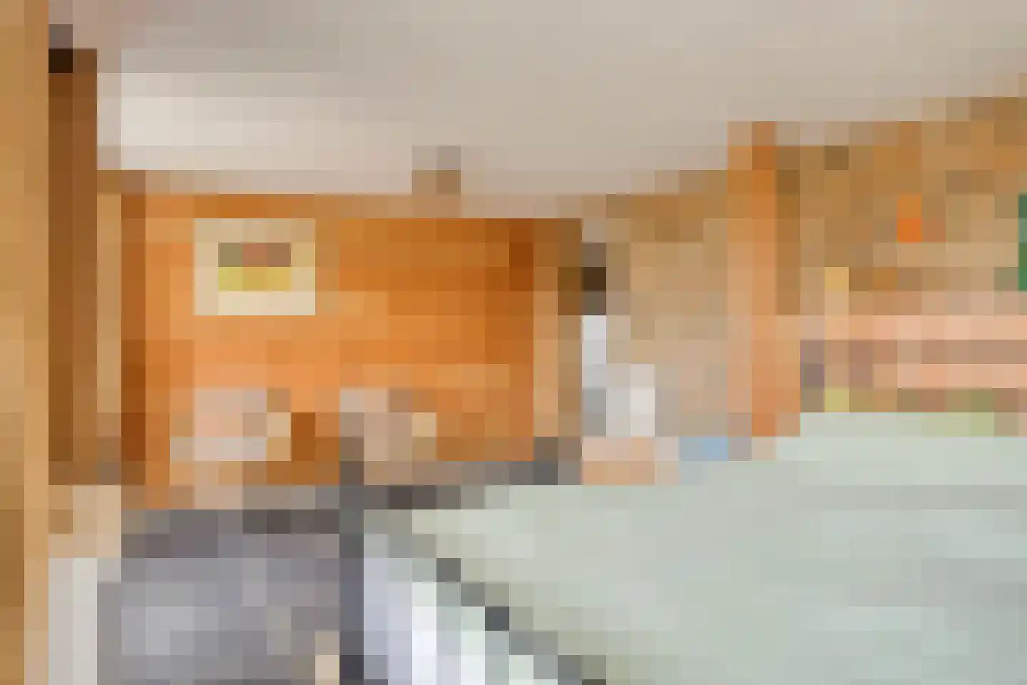 Dordrechtseweg 16 A Den Hout thumbnail 24