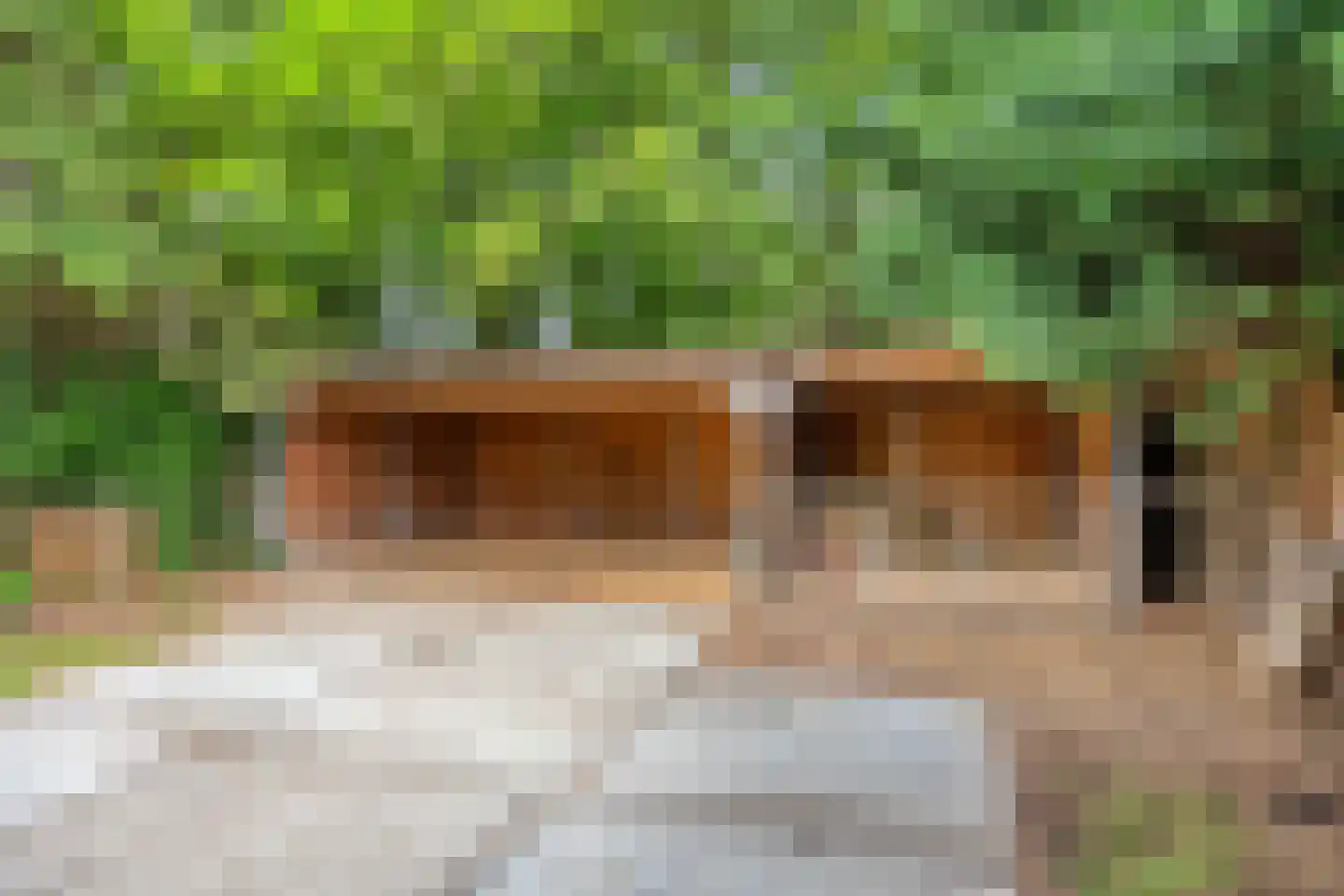 Dordrechtseweg 16 A Den Hout thumbnail 34