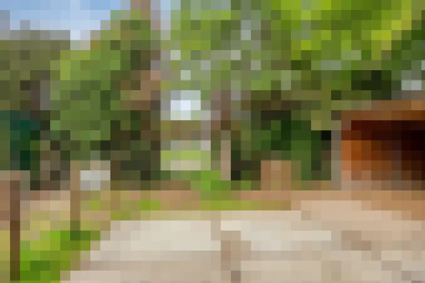 Dordrechtseweg 16 A Den Hout thumbnail 35
