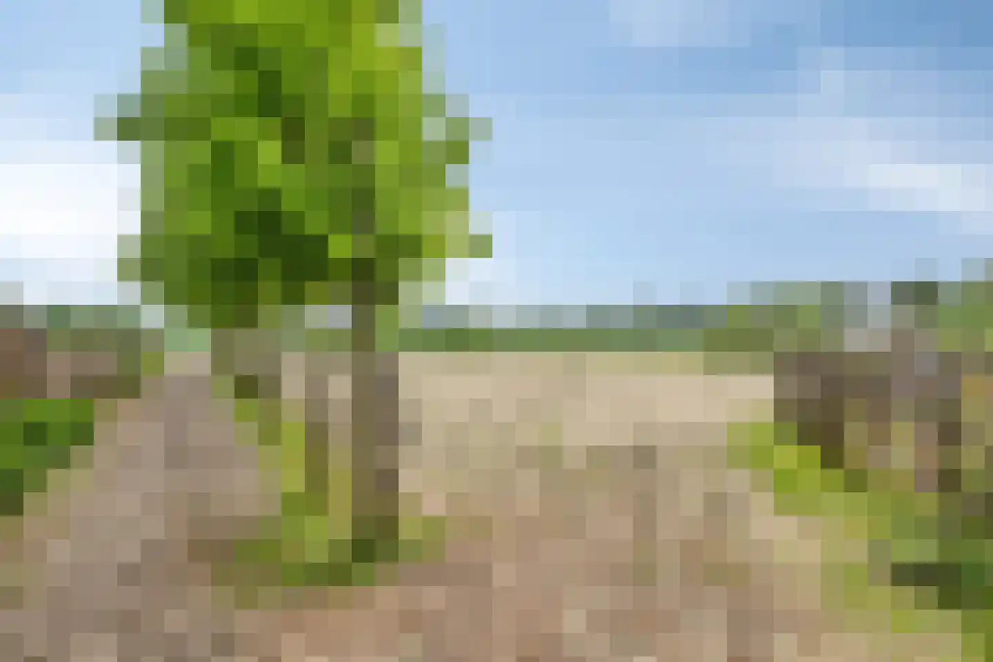 Dordrechtseweg 16 A Den Hout thumbnail 36