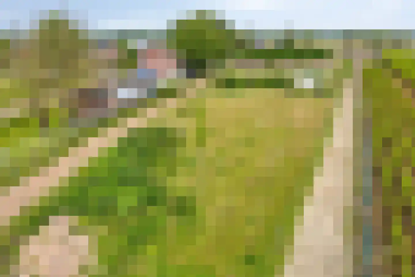 Dordrechtseweg 16 A Den Hout thumbnail 6
