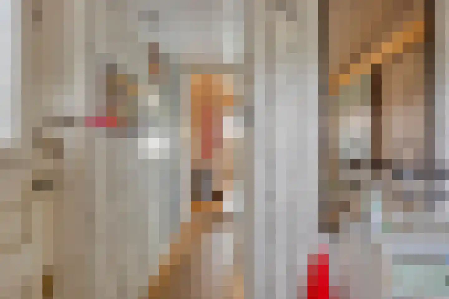 Dordrechtseweg 16 A Den Hout thumbnail 7