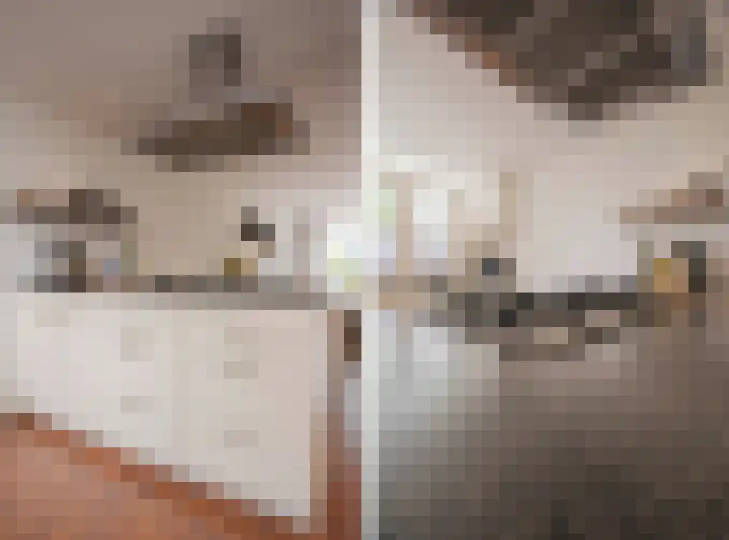 Dordrechtweg 11 Arnhem thumbnail 17