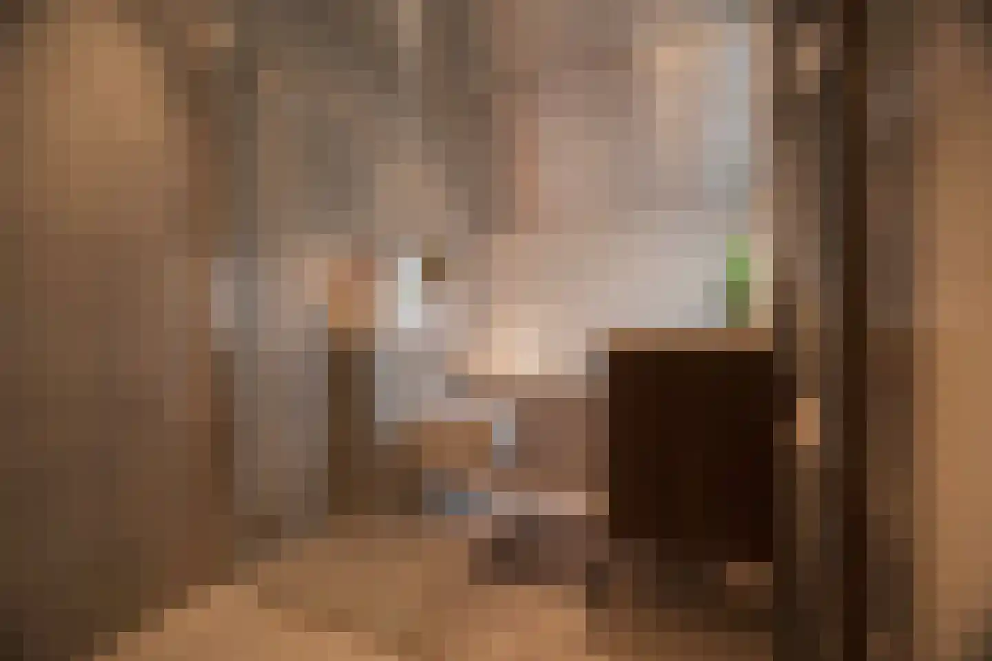 Dordrechtweg 11 Arnhem thumbnail 28