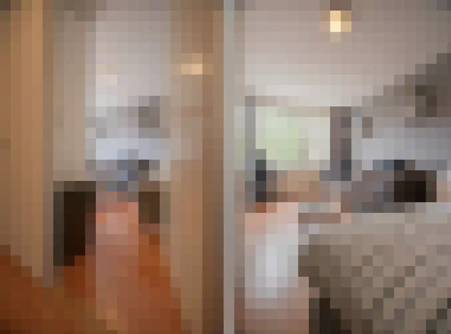 Dordrechtweg 11 Arnhem thumbnail 34