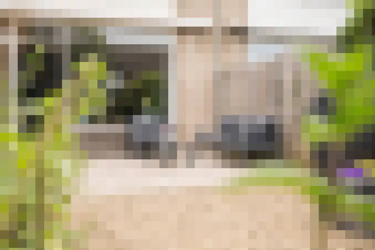 Dordrechtweg 11 Arnhem thumbnail 46