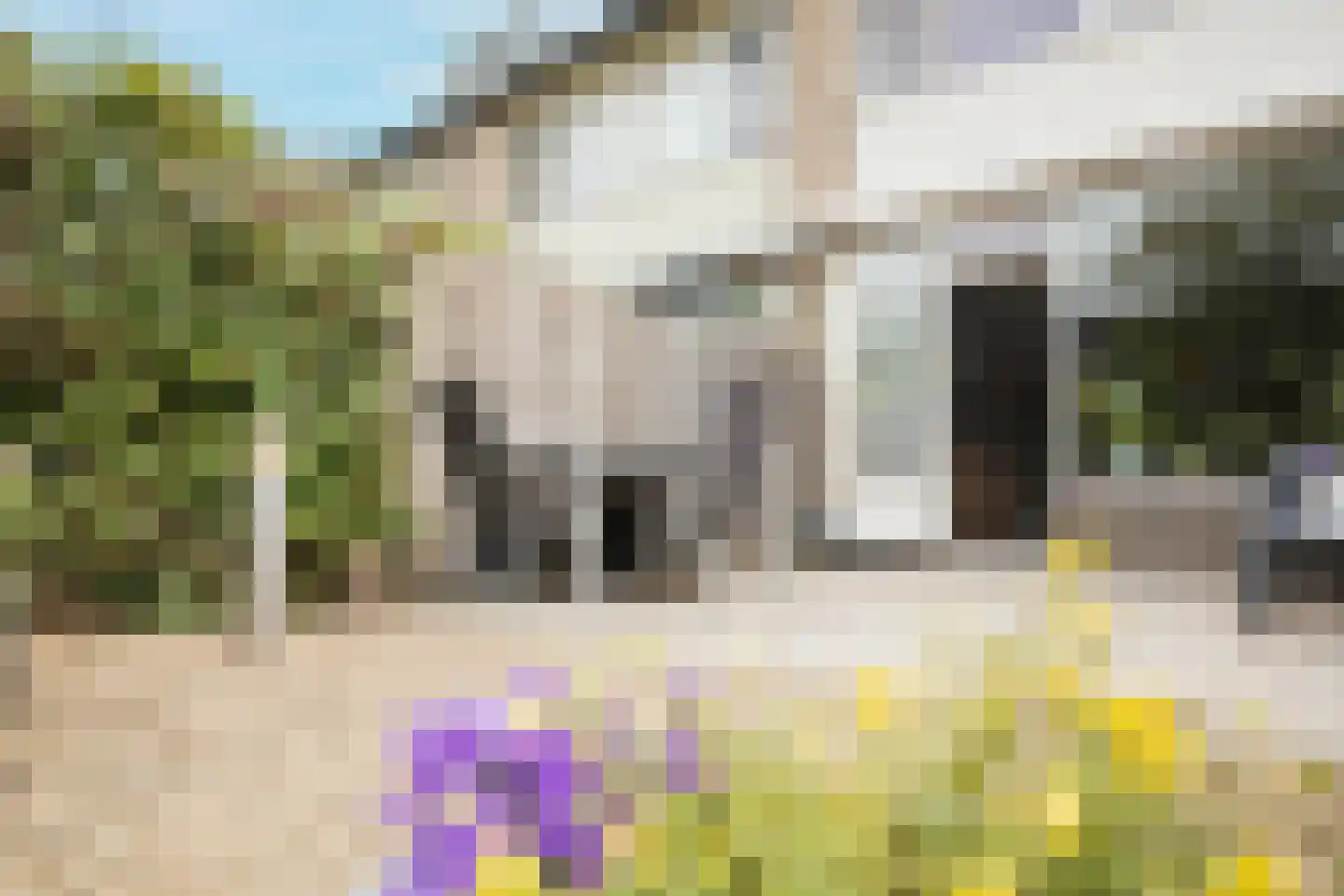 Dordrechtweg 11 Arnhem thumbnail 47