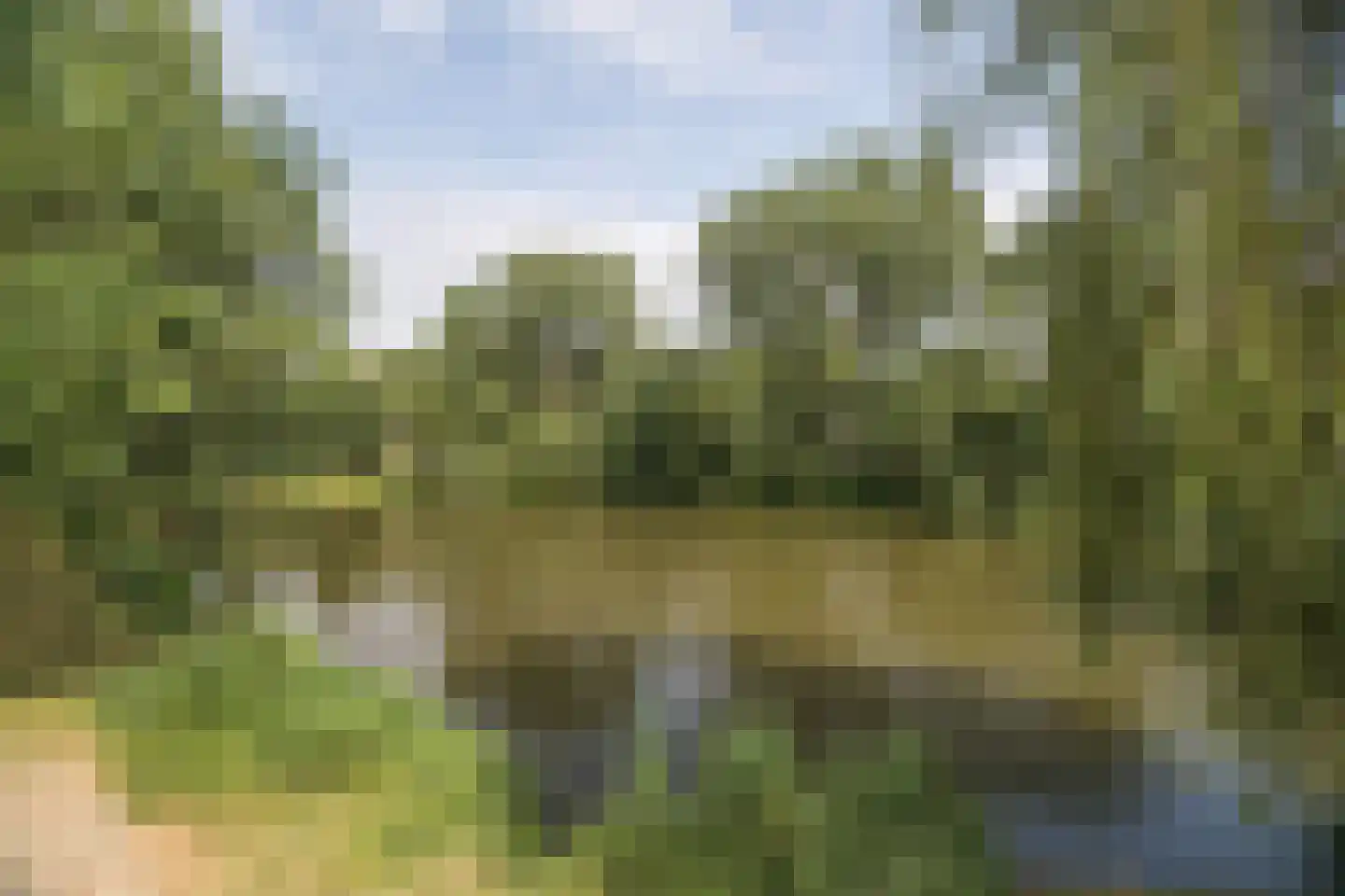 Dordrechtweg 11 Arnhem thumbnail 52
